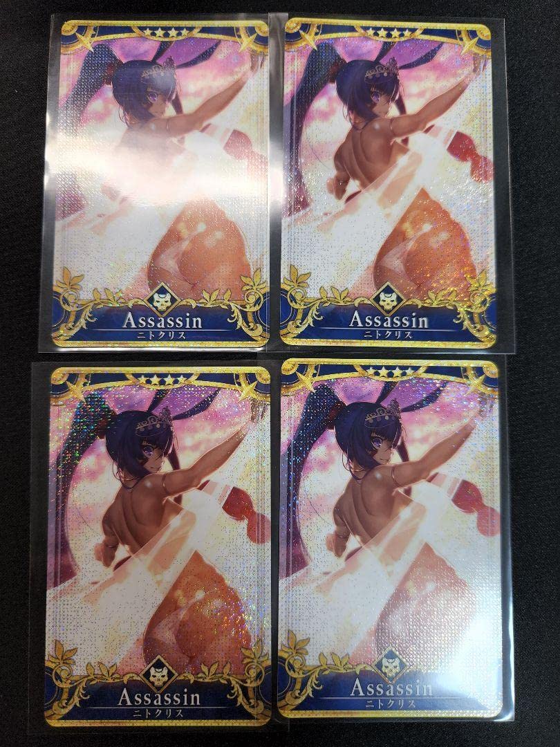 FGO ニトクリス (水着) (聖杯 レベル100) フェイタルfgoac FGO ニトクリス (水着) (聖杯 レベル100) フェイタルfgoac fgoac 水着