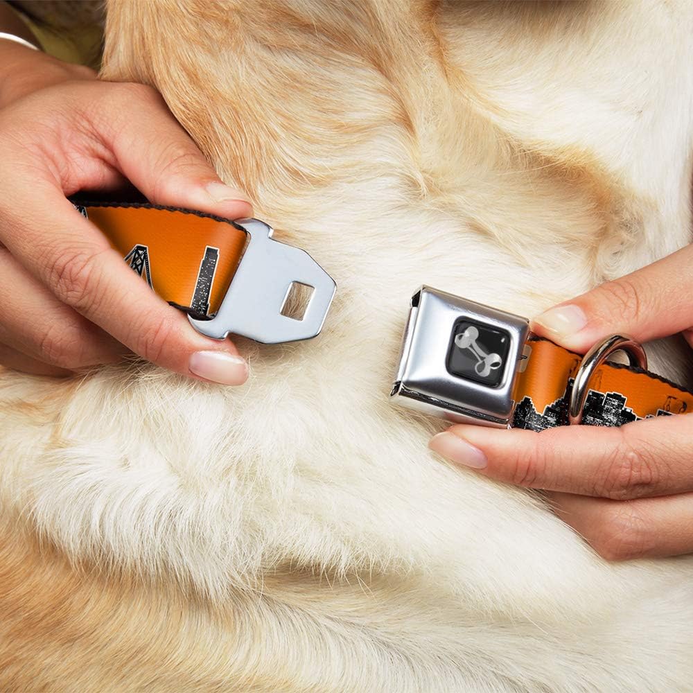 Dog Collar Seatbelt Buckle San Francisco Vivid Skyline Orange Fade Black 11 to 17 Inches 1.0 Inch Wide