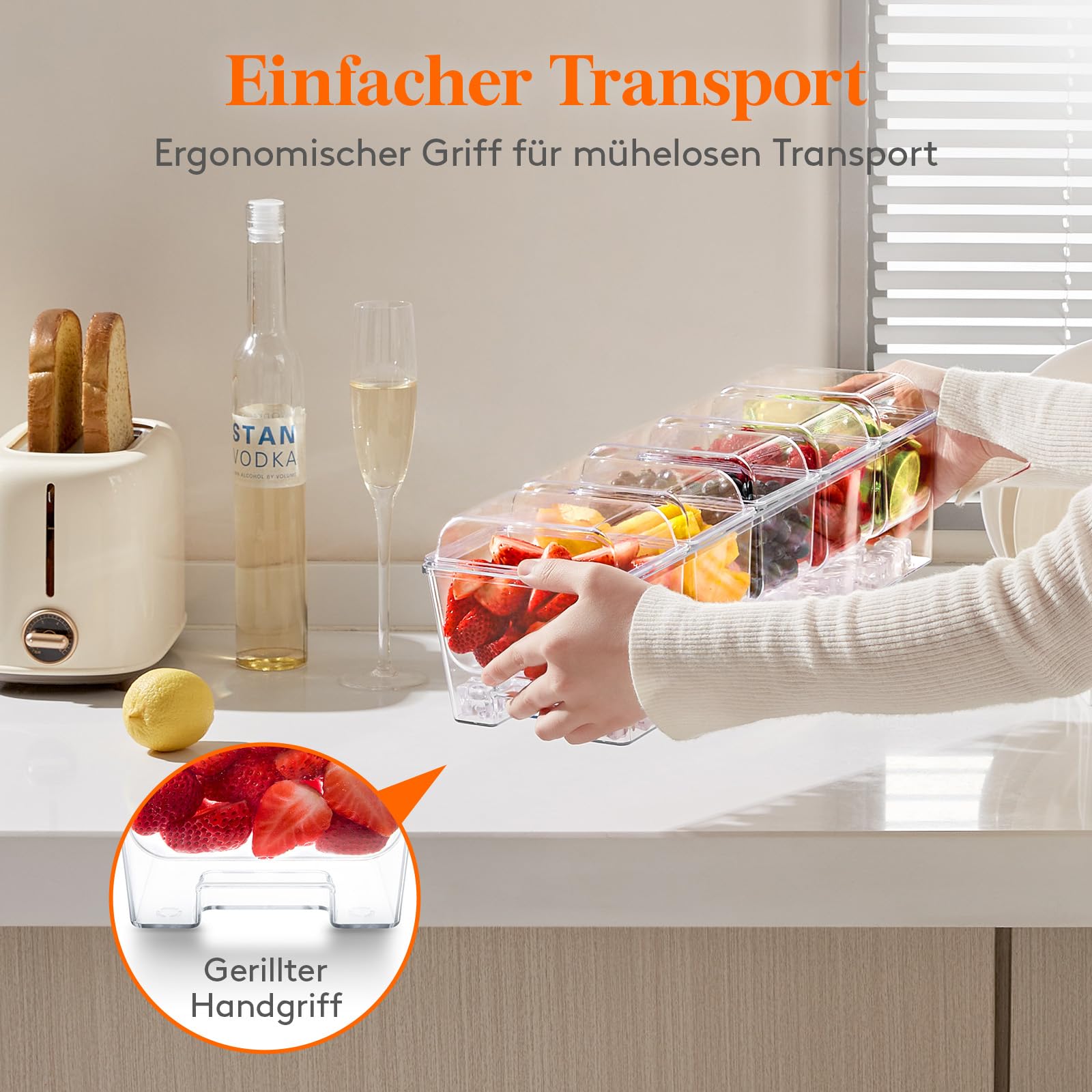 Lifewit abnehmbare Ice Zutatenbehälter mit Deckel, Frischebehälter, Ice Eiswürfel hinzufügbar, 5 Fächer Behälter zum Garnieren, Serving Bar für Obst/Snacks/Cocktail Zutaten