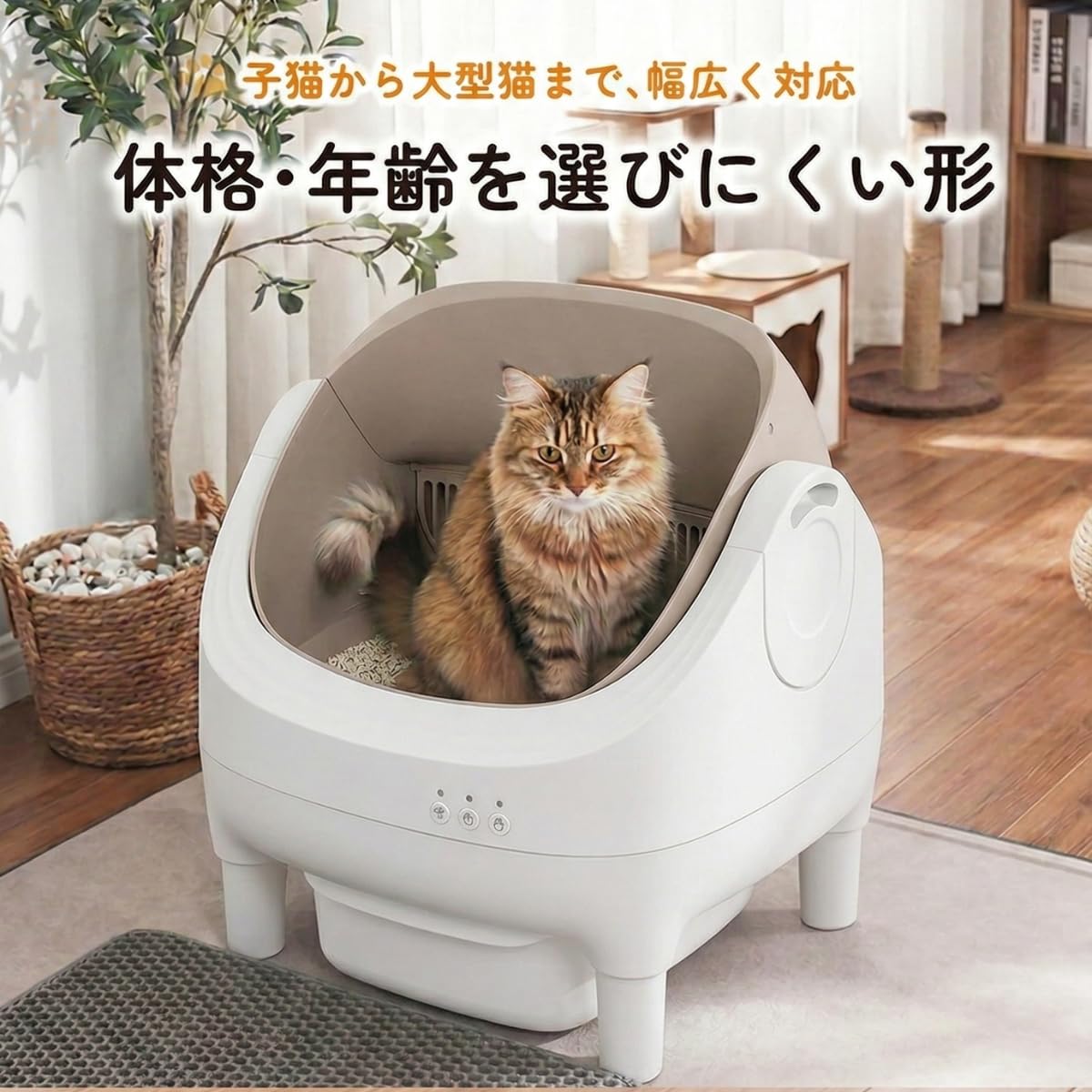 新品⭐️猫の自動トイレ 大型猫・多頭飼い 囲まれてないから慣れるのが早い 開放型 Amazon | Prairia 猫 自動トイレ オープン型 大型猫・多頭飼い対応