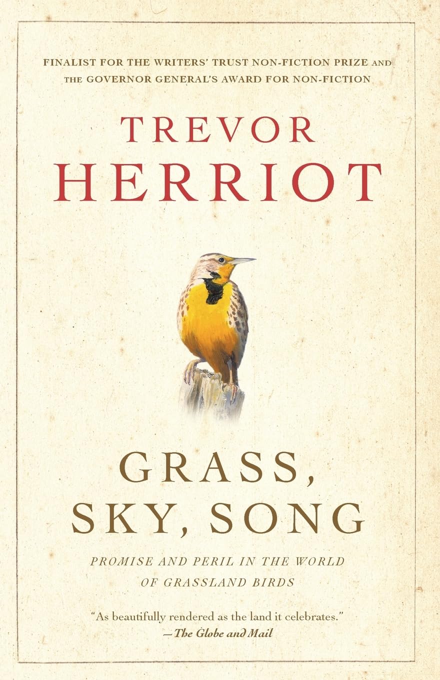 Grass, Sky, Song: Promise And Peril In World Of Grassland Birds