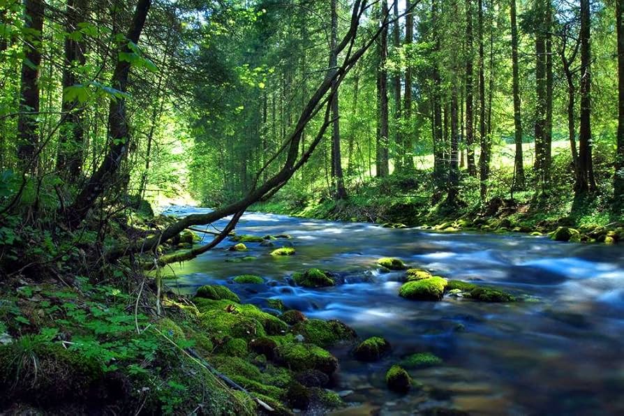 バリ絵画 横94cm縦74cm 森 森林 水辺 滝 川 川辺 草木 バリ絵画 横94cm縦74cm 森 森林 水辺 滝 川 川辺 草木