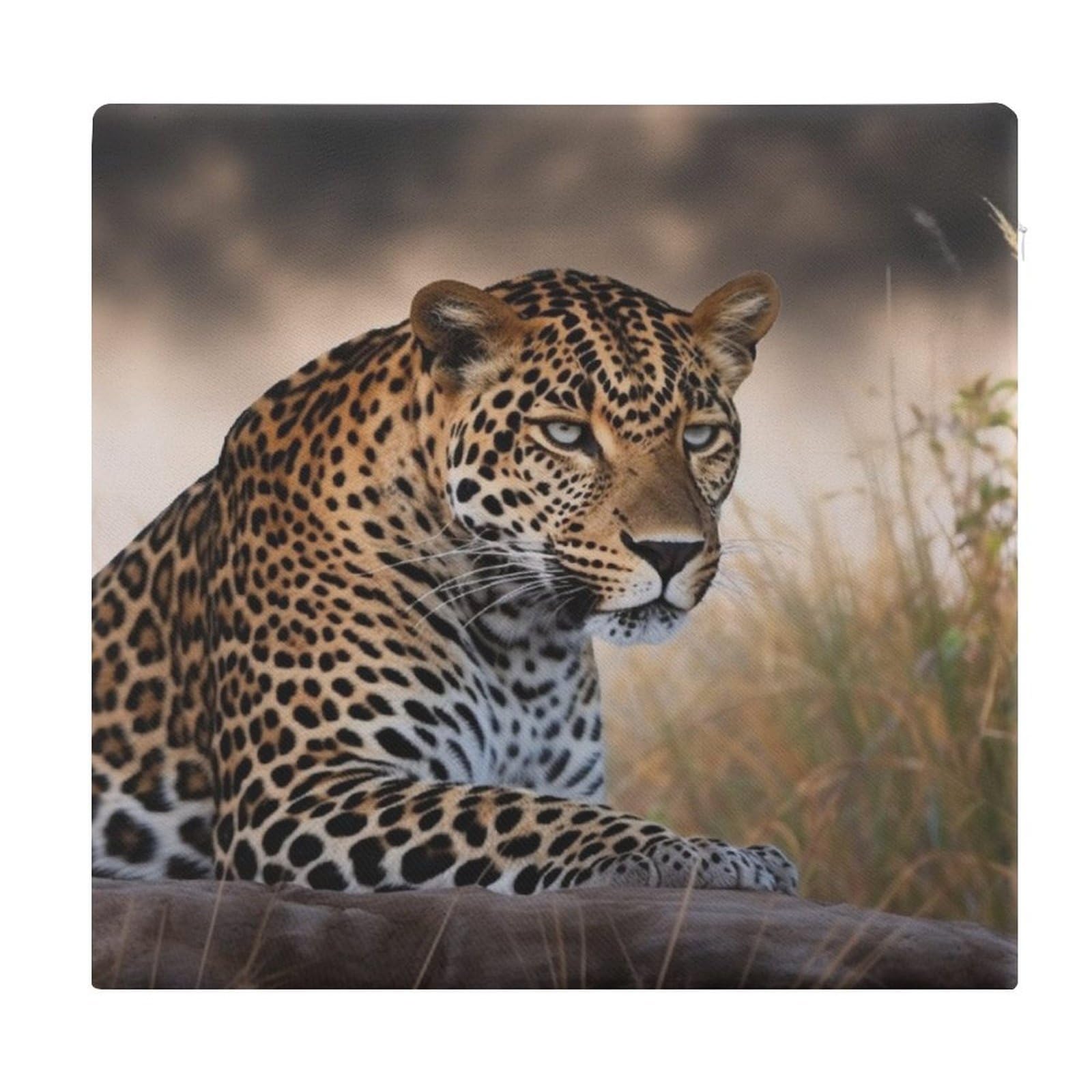 VstaDank African Animal Leopard Square Cushion Cute Memory Foam Seat Cushions15x13In Comfort Meditation Floor Pillow Removable Cover Soft Stool Cushion Pillow for Balcony Tatami
