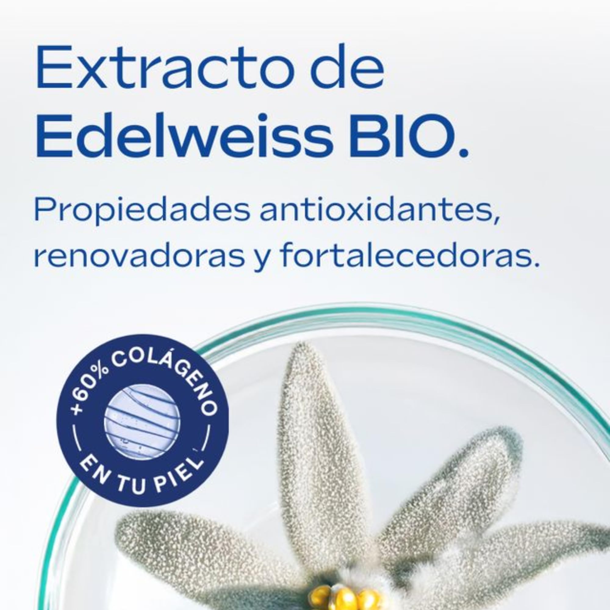 Weleda - Contorno de Ojos y Labios Antiedad Genciana 10 ml | Genciana azul, edelweiss, antiedad, reduce arrugas, ojeras, bolsas, reafirma, pieles maduras, vegana, contorno