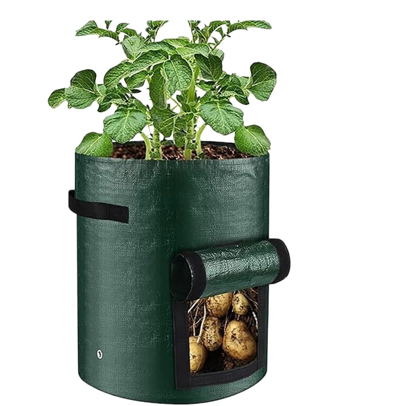 3 Sacs de Culture légumes 1/5/7/10 gallons, Pots Plantes en matériau PE for Pommes Terre, Carottes, conteneurs Jardinage Robustes avec poignées pour Plantes(10 Gallon-35x50cm)