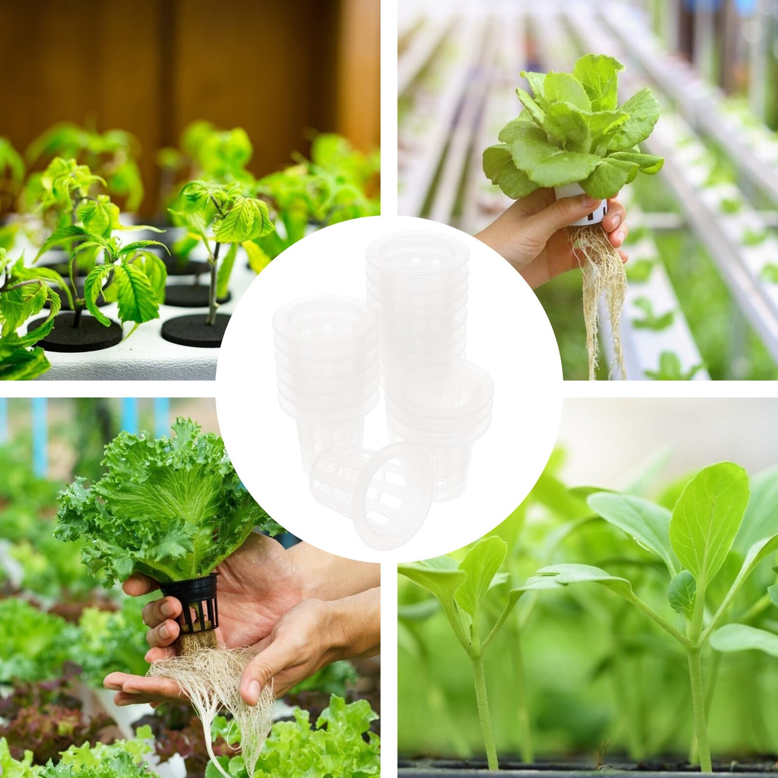 SUPVOX 100 pièces Lot de Paniers de Culture Hydroponique PP Durables Godets Semis Pratiques pour Légumes Fruits et Fleurs Structure Aérée pour Racines Solides et Résistants