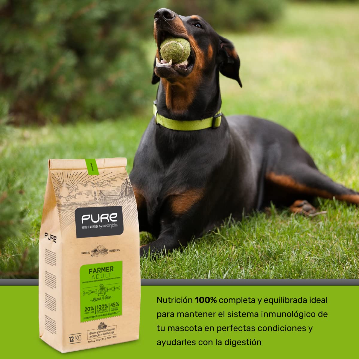 Pure Farmer Adult Cordero y Arroz 12 kg – Pienso Holístico con Carne Fresca para Perros Adultos – Razas Medianas y Grandes
