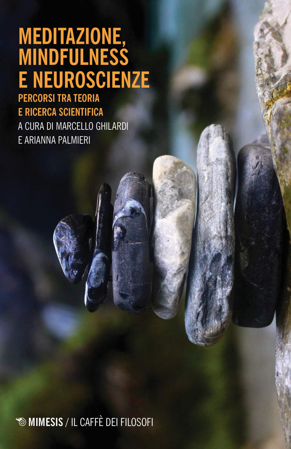 Meditazione, Mindfulness E Neuroscienze. Percorsi Tra Teoria E Ricerca Scientifica - 4