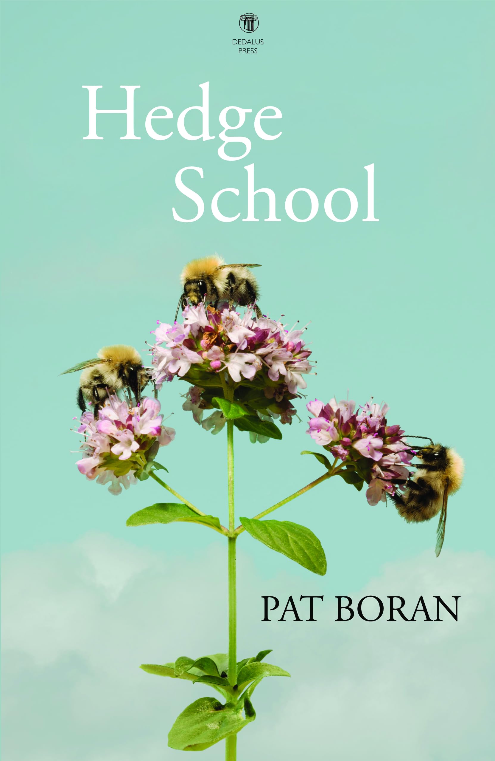 Hedge School