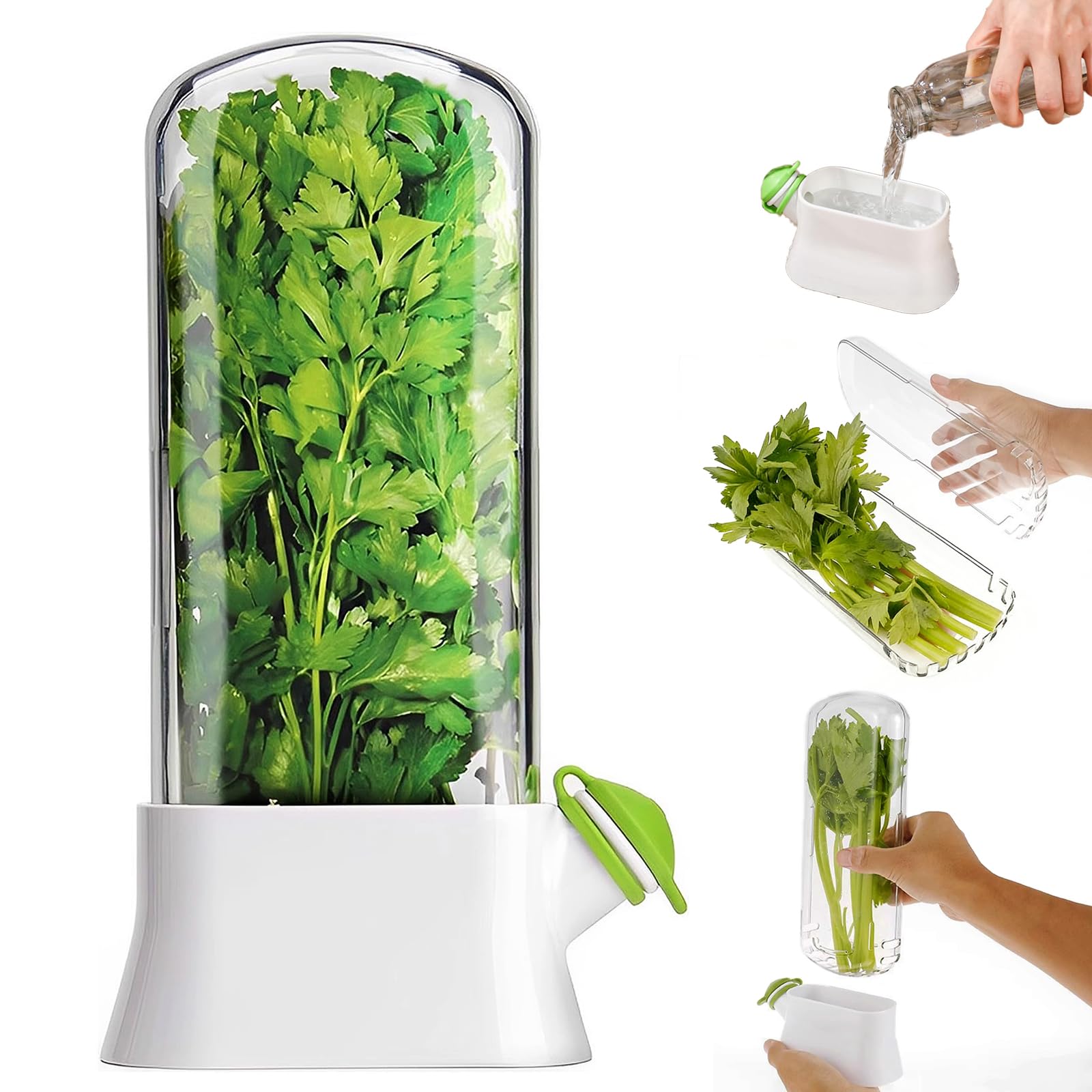 Fresh Herb Preserver for Fridge – Tall Clear Fresh Herb Keeper Container for Coriander, Parsley, Mint & Vegetables | BPA-Free ABS Plastic Kitchen Storage Box | Keeps Produce Crisp for Weeks (Clear)