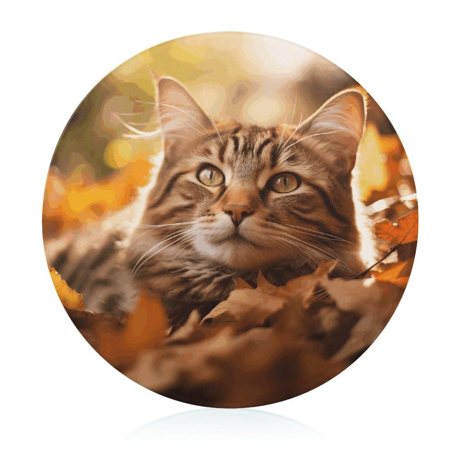 Planche à découper ronde en verre chat couché pour protéger votre plan de travail