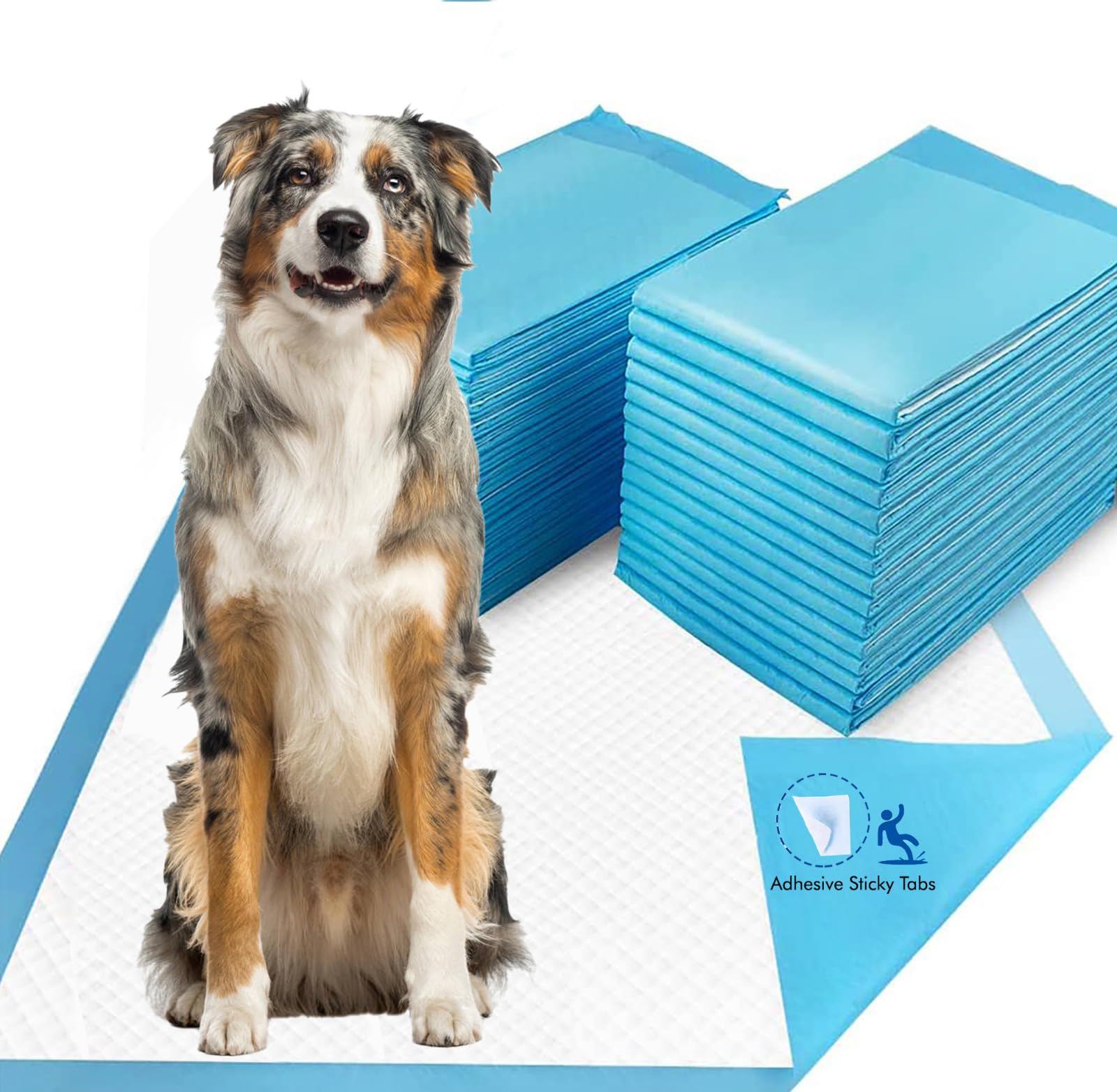 Daryoo - Extra Large (XL) 90x60 cm, Pack of 25 - Disposable Pee Pads for Dogs, Cat and Puppy Training Pads with Adhesive Floor Strips | Leak-Proof | High Absorption (B0BRT5Z513) Amazon Price History, Amazon Price Tracker
