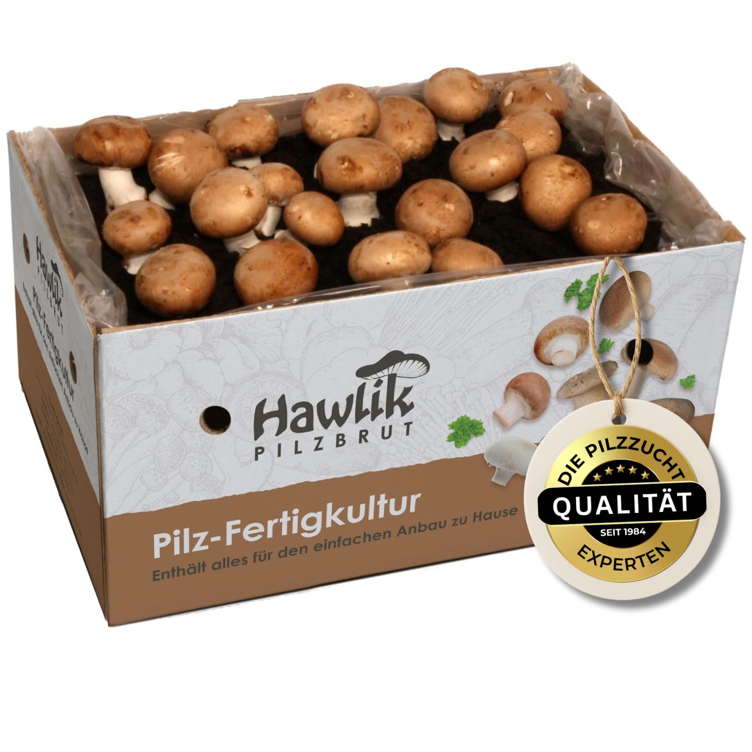 Hawlik Pilzbrut Champignons selber züchten – Steinchampignon Pilzzuchtset XXL – Pilze kinderleicht anbauen – Großes Komplettset - Pilze züchten Set ideal für Anfänger/als Geschenke für Gartenfreunde