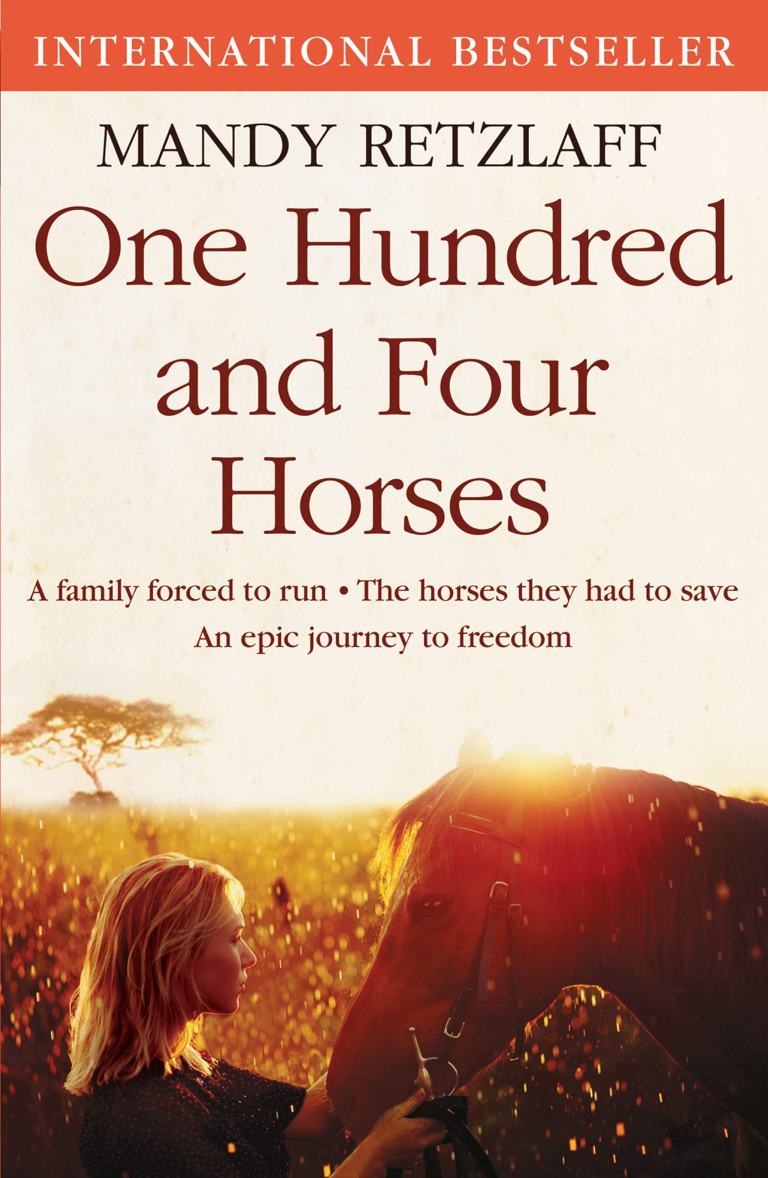 One Hundred and Four Horses: A powerful memoir exploring survival in turbulent Zimbabwe