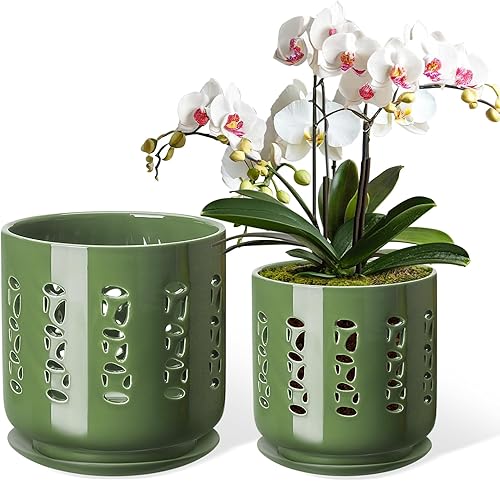 Macetas de orquídeas con agujeros, juego de 2 macetas de cerámica de 6 pulgadas + 5 pulgadas con 2 bandejas inferiores, drenaje y ventilación disponible en Yaxa Costa Rica