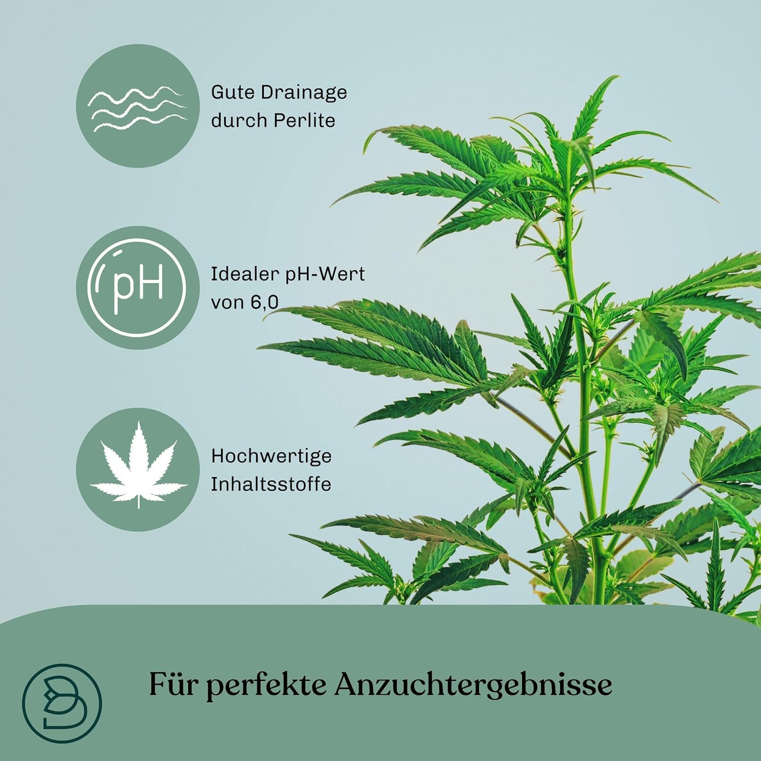 Grow Erde Anzuchterde Professional 160L, Perfekte Pflanzerde für gesundes & kräftiges Wachstum - Kultursubstrat mit Perlite, NPK und Mikroorganismen, optimaler pH-Wert 6,0 für Starke Wurzelbildung