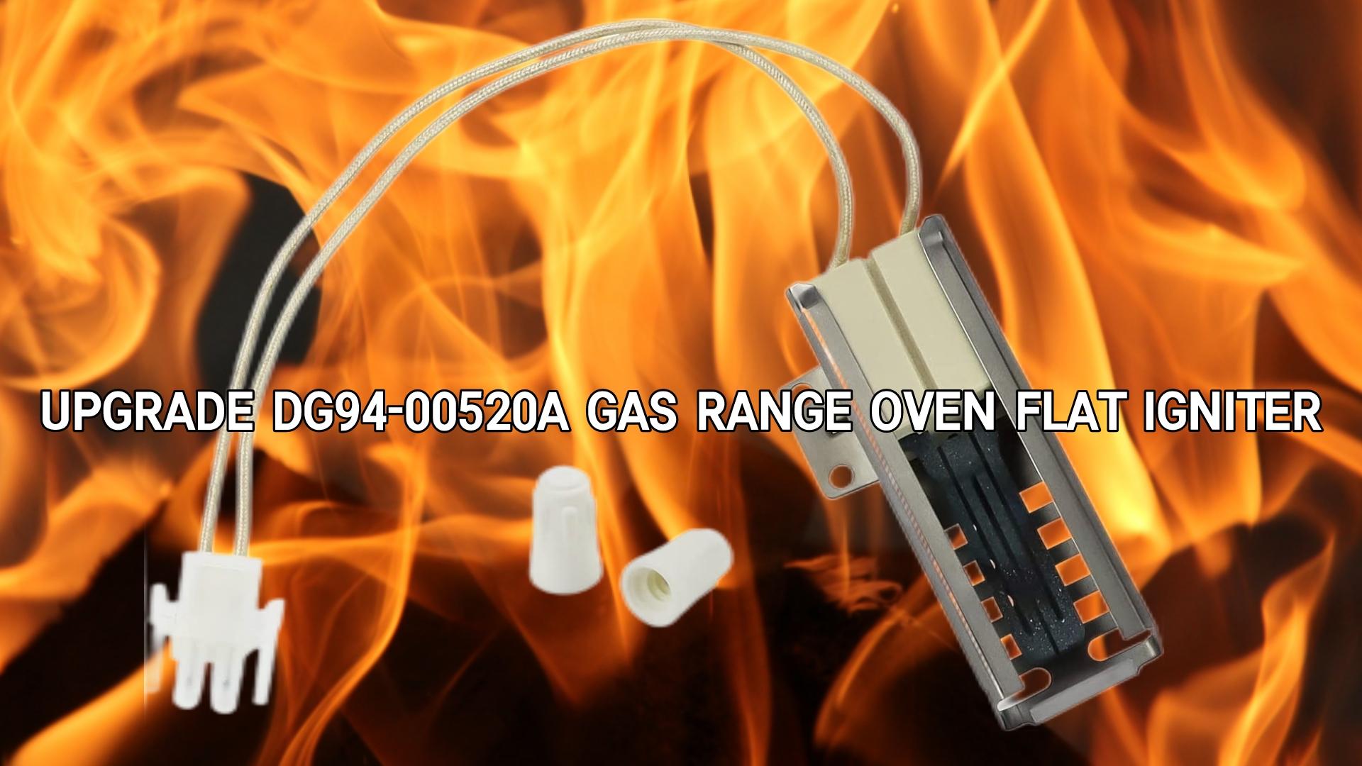 DG94-00520A Igniter Dimensions