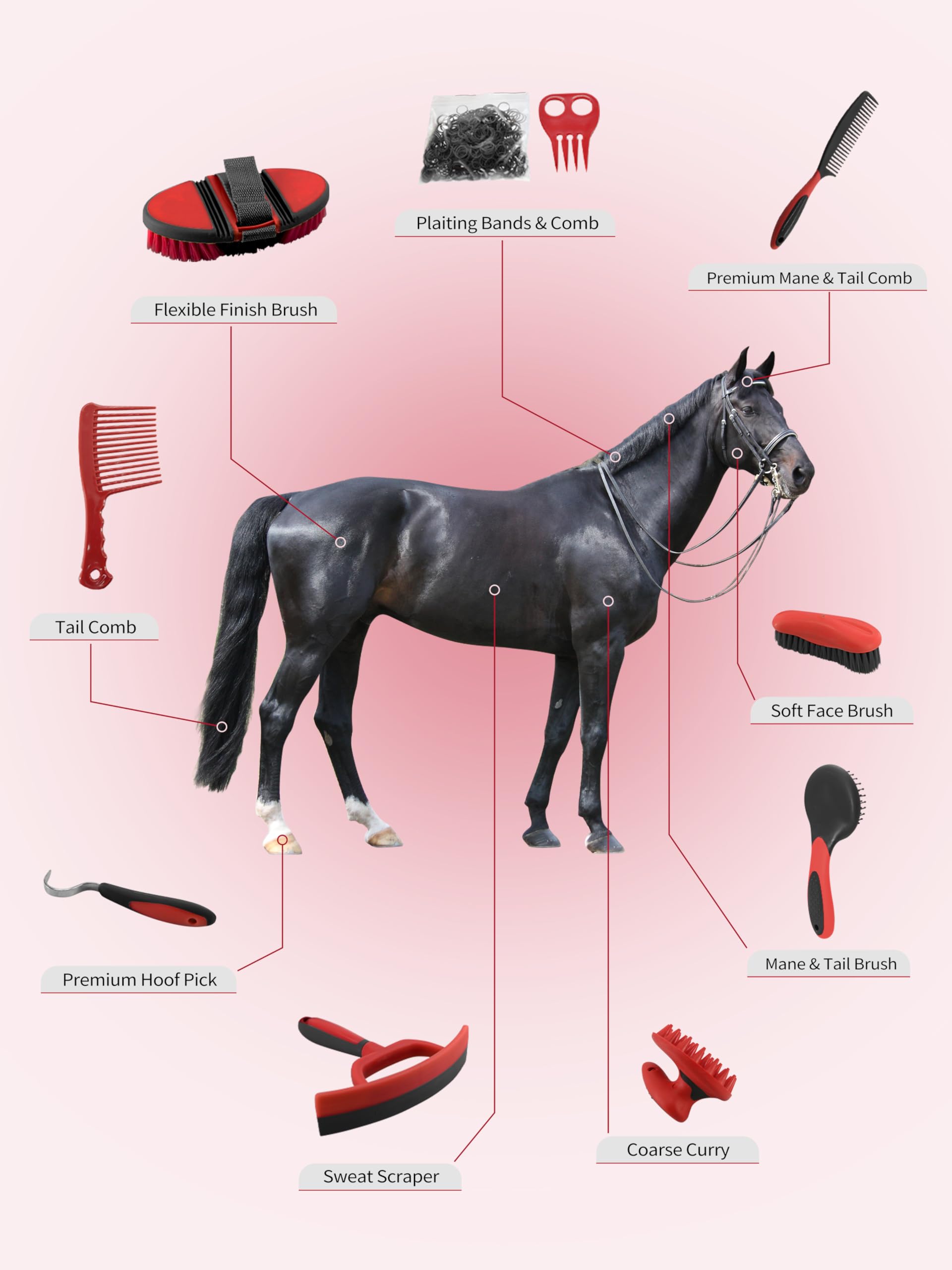 Harrison Howard Kit per la toelettatura dei cavalli, 9 pezzi, serie Equine Care, set di spazzole per cavalli con organizer Tote Bag Tack Room Supplies Spargimento Toelettatura Strumenti di massaggio