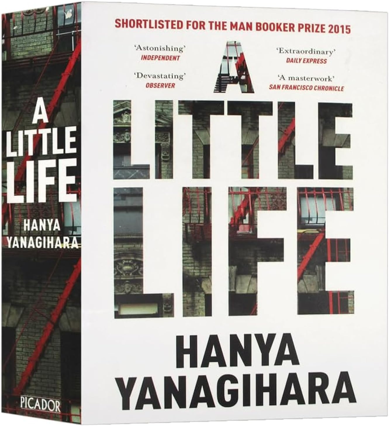 A Little Life Hanya Yanagihara, books in english, novels