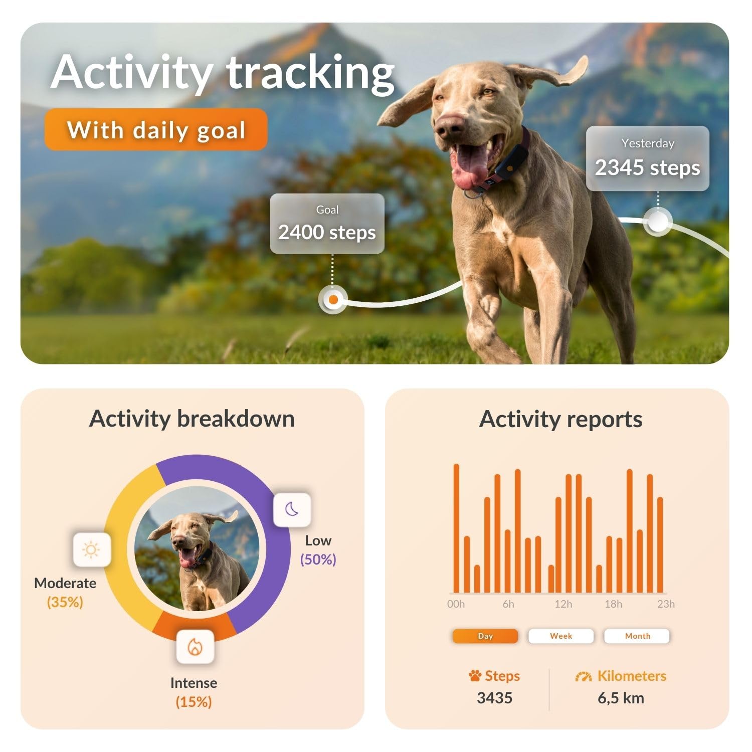 Weenect Dog XT - NEW GPS Collar for Dogs, Black, Tracker XT - With collar - Image 4
