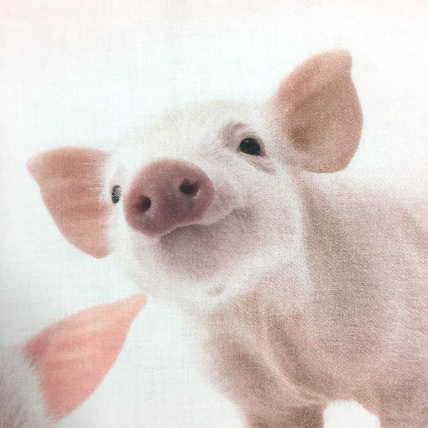 Bettwäsche Piggy Rosa Ferkel Schwein Hausschwein Schweinchen Sau Renforcé, Größe:135 cm x 200 cm