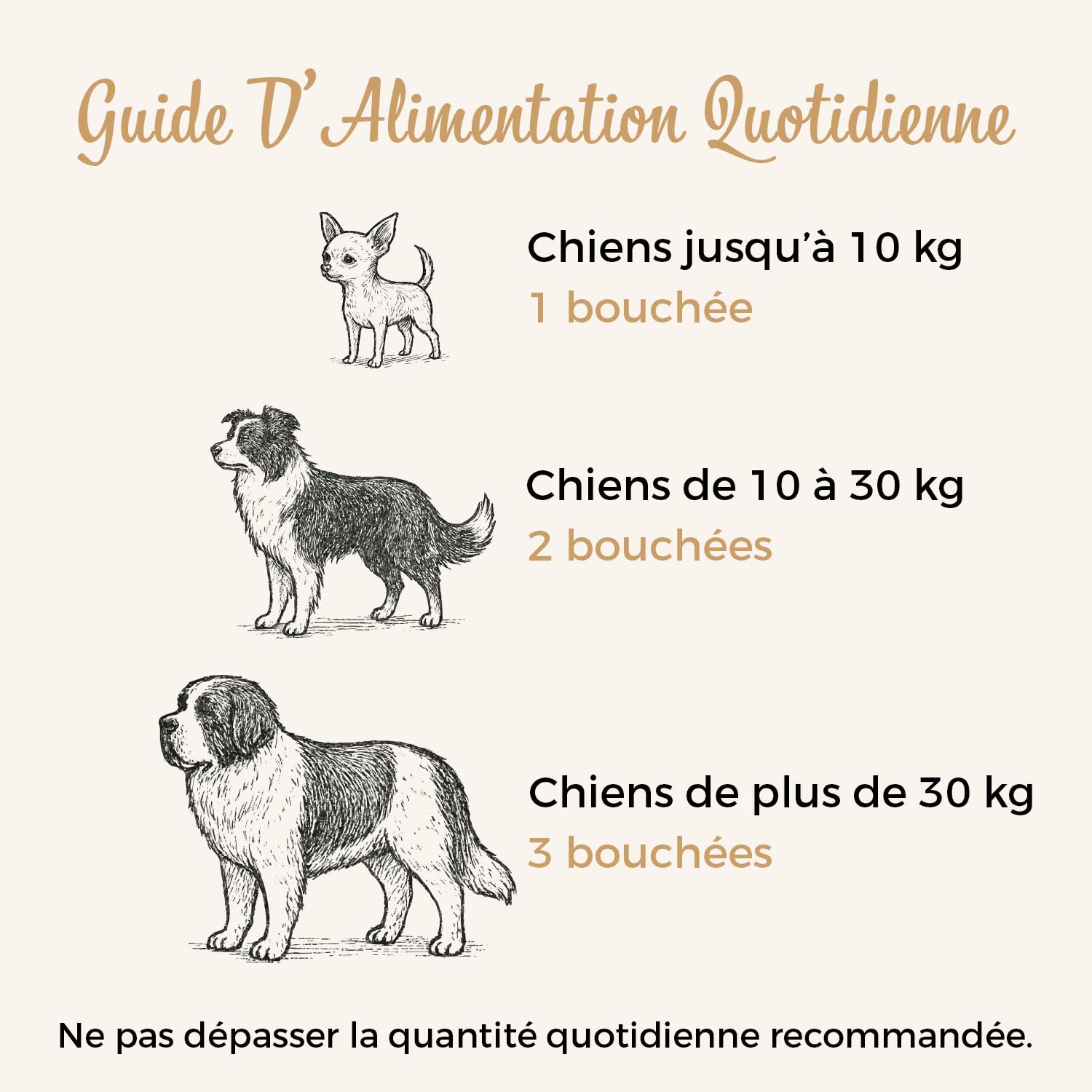 SwissVet Probiotique Chien - 60 Bouchées Flore Intestinale & Digestion - Prébiotiques (Inuline) & Bacillus Velezensis - Anti Diarrhée, Gaz & Ballonnements - Immunité & Transit Sain