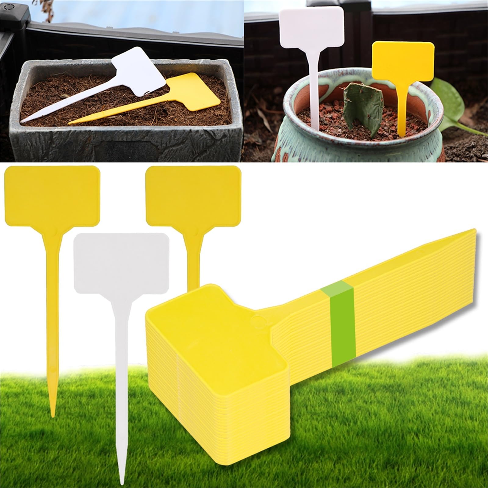 Etichette Per Piante 30 pezzi giallo e bianco 14,8x5,5 cm materiale etichetta pianta vivaio fiore impermeabile riutilizzabile carta di identificazione(B-WhiteX30pcs)