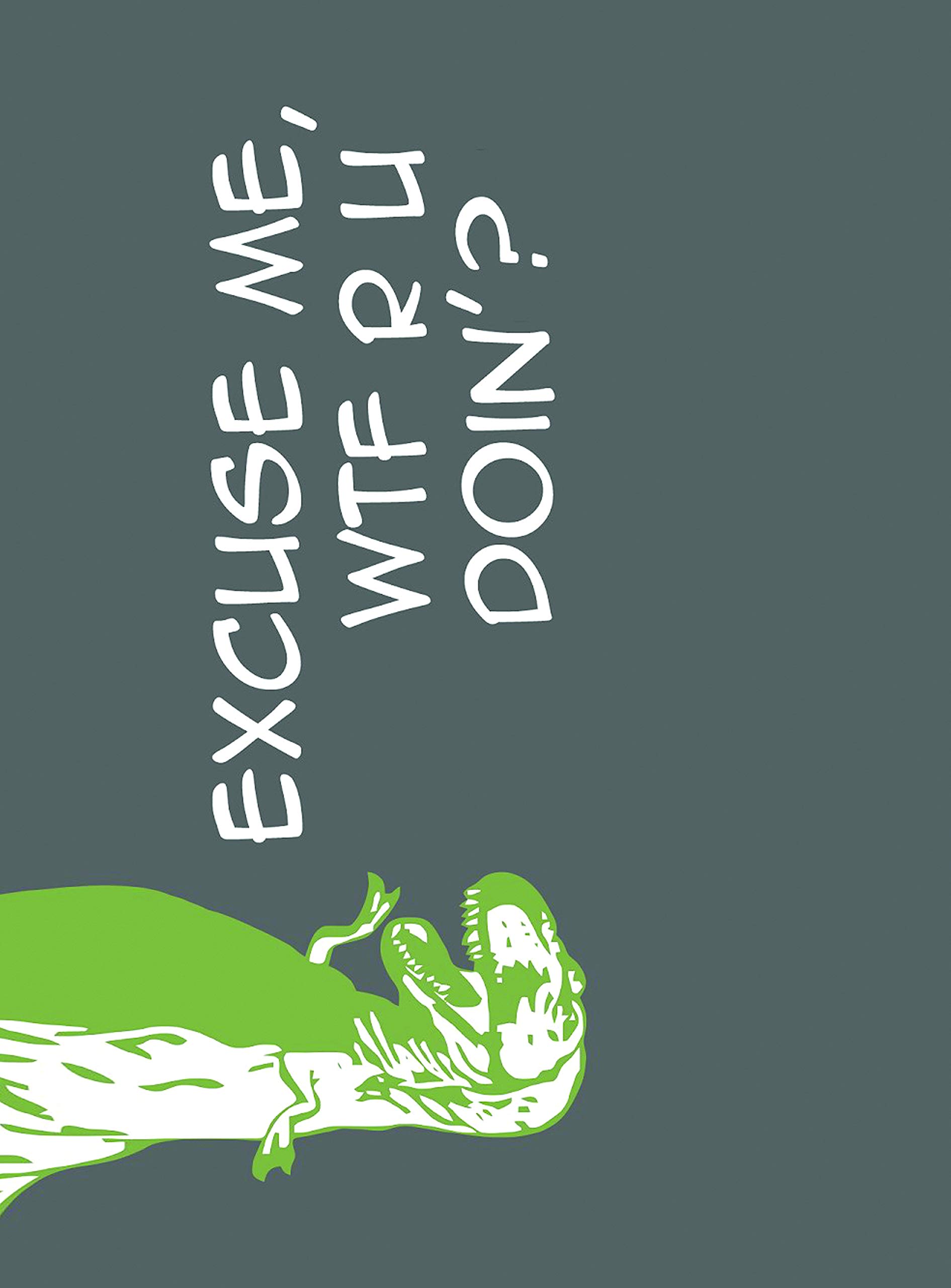 Protective Flip Cover Case For Apple iPad Mini 3rd Gen Wtf R U Doing