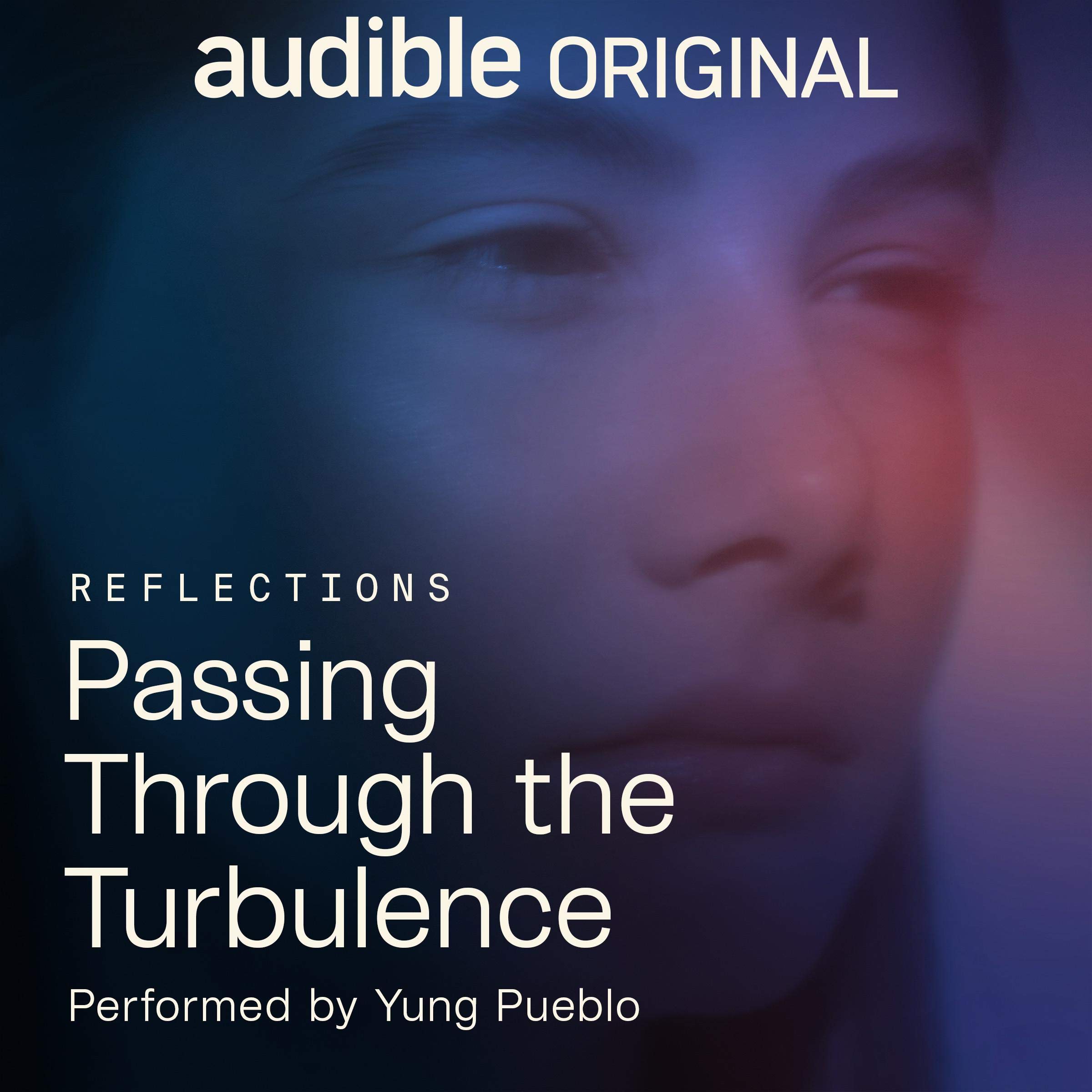 Cover art for Passing Through the Turbulence