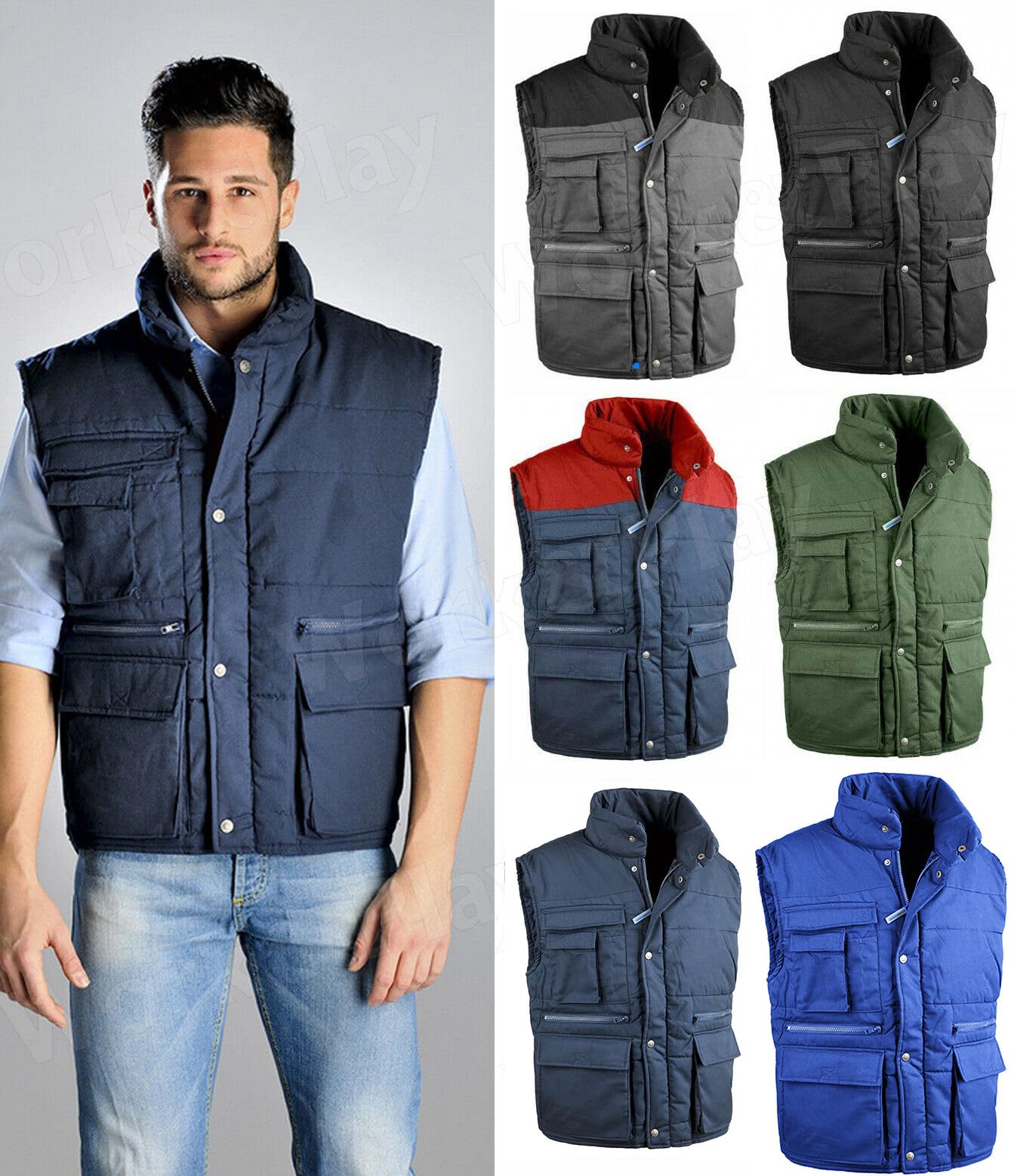 Gilet Antares TG