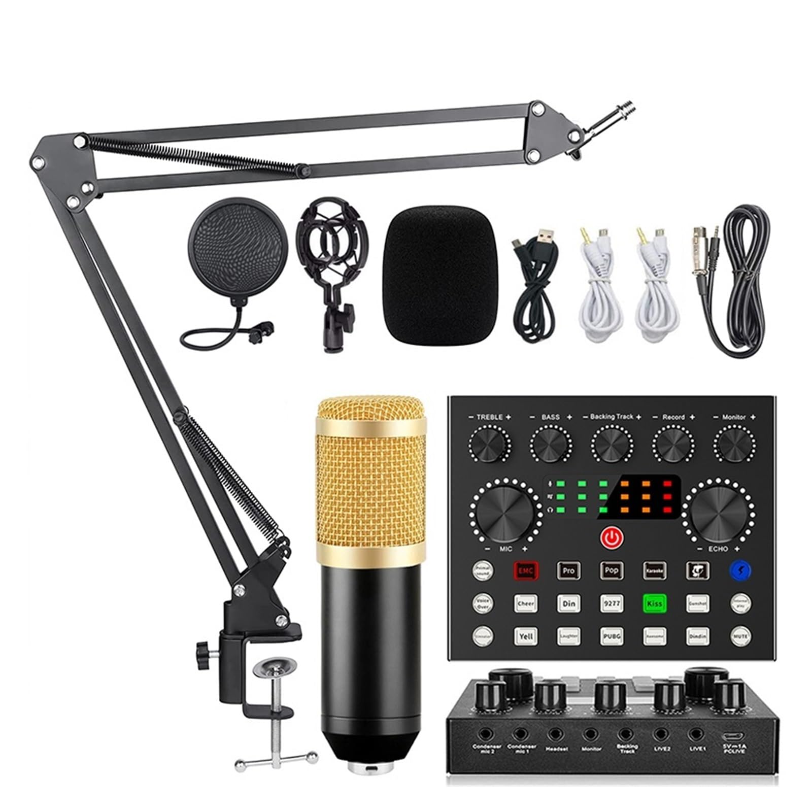 Amazon.co.jp: コンデンサーマイクセット（オプション）ライブ