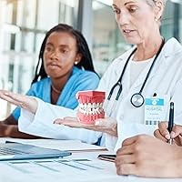 Vista 6 de Modelo dental Tamaño estándar para la práctica de cepillado y hilo dental - Dientes de silicona Typodont con encía visible, herramienta