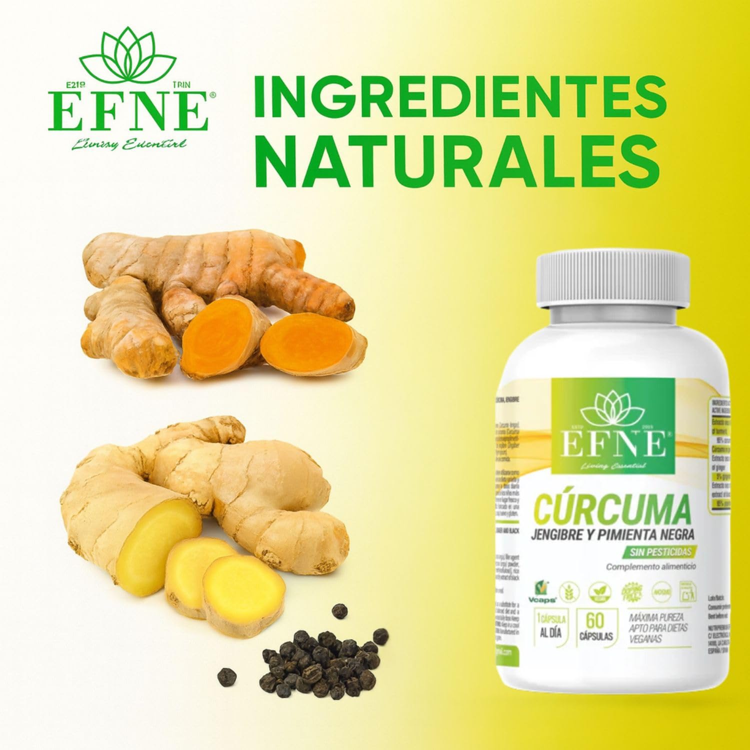 EFNE CURCUMINA FORTE – Cúrcuma + Jengibre + Pimienta Negra | 60 cápsulas veganas | Extracto de cúrcuma 95% curcumina + jengibre 5% gingeroles + piperina 95% | Sin gluten ni lactosa
