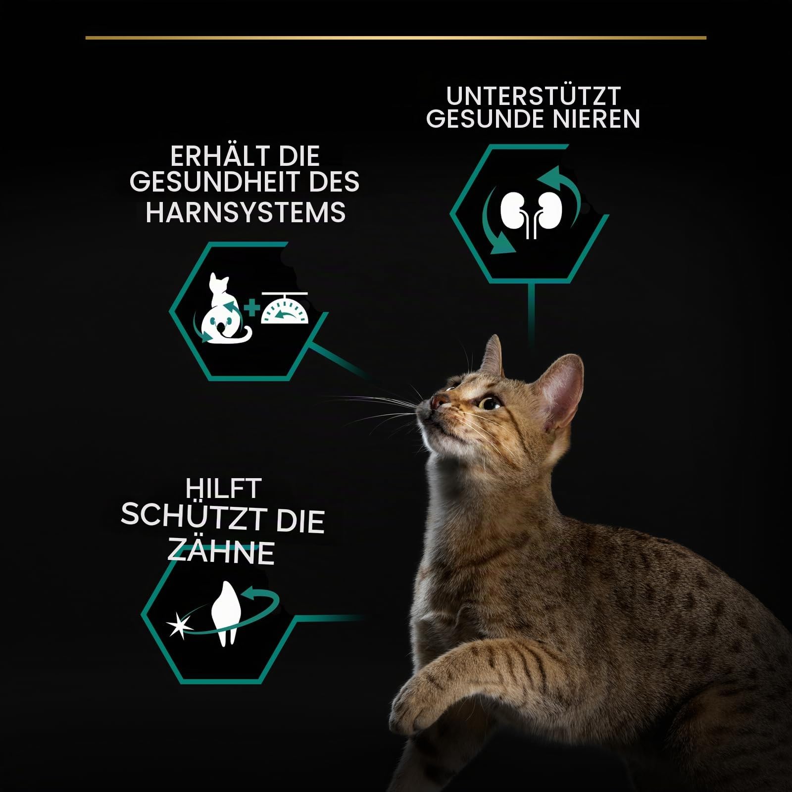 PRO PLAN Feline Adult STERILISED PAVO 10KG