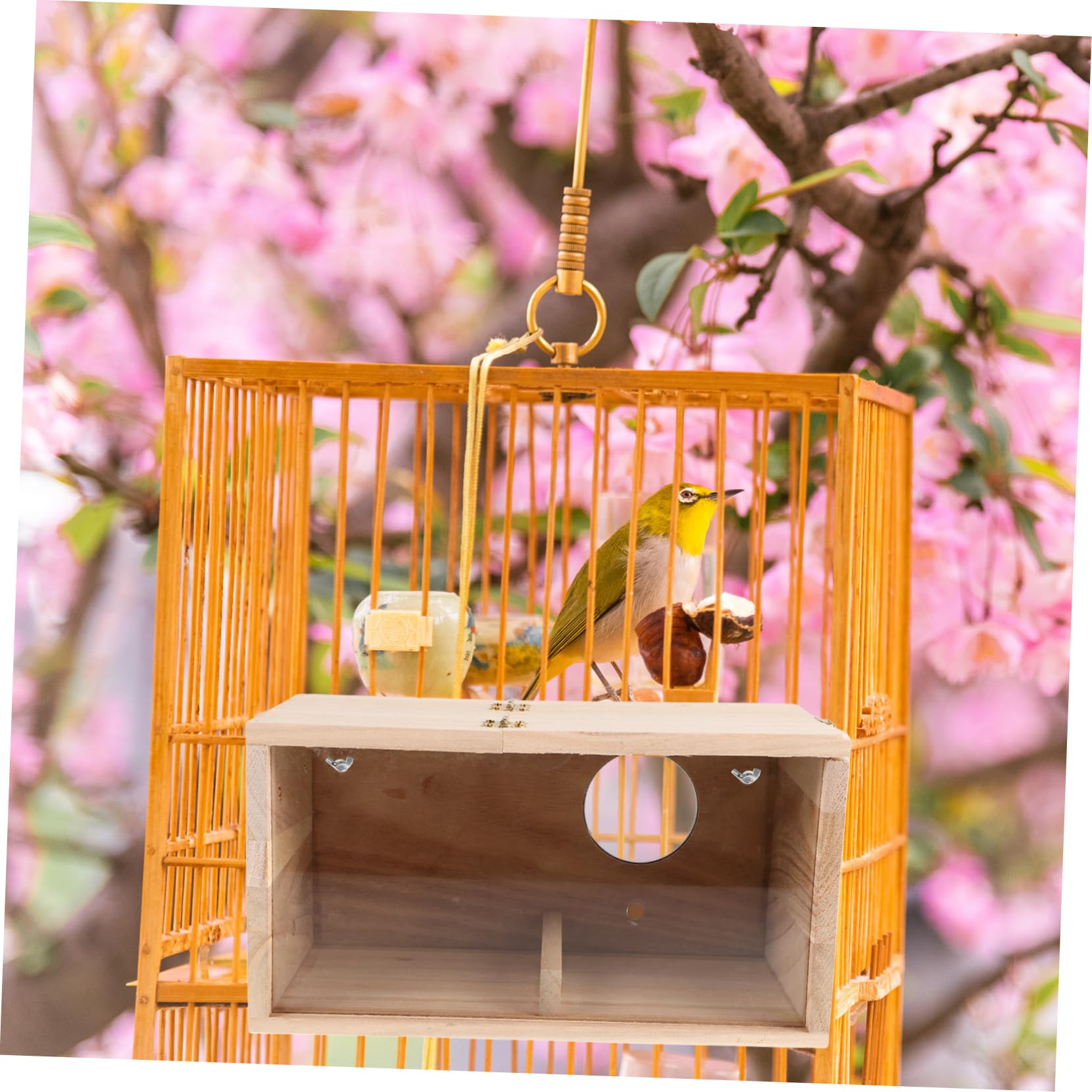 Hemobllo Birdhouse Nido per Parrocchetti in Legno Finestra Acrilica | Beige, Uso Outdoor e Giardino, per Cocorite e Calopsitte, Installazione Semplice