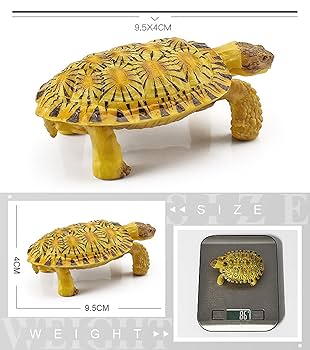 Amazon | EUHELOPA 亀 フィギュア 19種類 海洋動物 おもちゃ