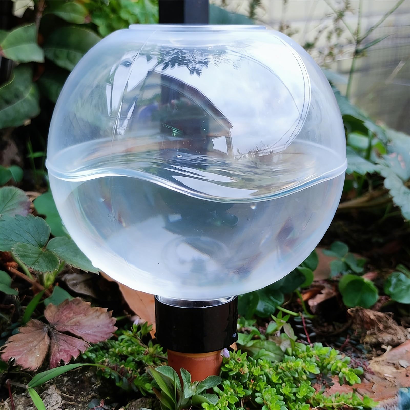 Lot de 6 boules d'irrigation pour plantes - 500 ml - Auto-arrosage - Grande boule d'arrosage - Distributeur d'eau pour plantes - Arrosage automatique des plantes de chambre et plantes de jardin