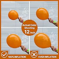 Vista 408 de PartyWoo Nude Balloons 100pcs 12 Inch Apricot Boho Fall Neutral Latex Helium Balloons for Graduation Wedding Anniversary Birthday Boy Baby Shower