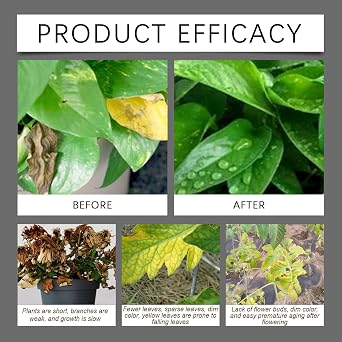 Soil Activator, Soil Activator for Plants, Concentrated Soi-l Improver & Conditioner for Garden, Promotes Root Growth, Relieves Soi-l Compaction, Plant Fertilizer, for Vegetables & All Plants (2 pcs)