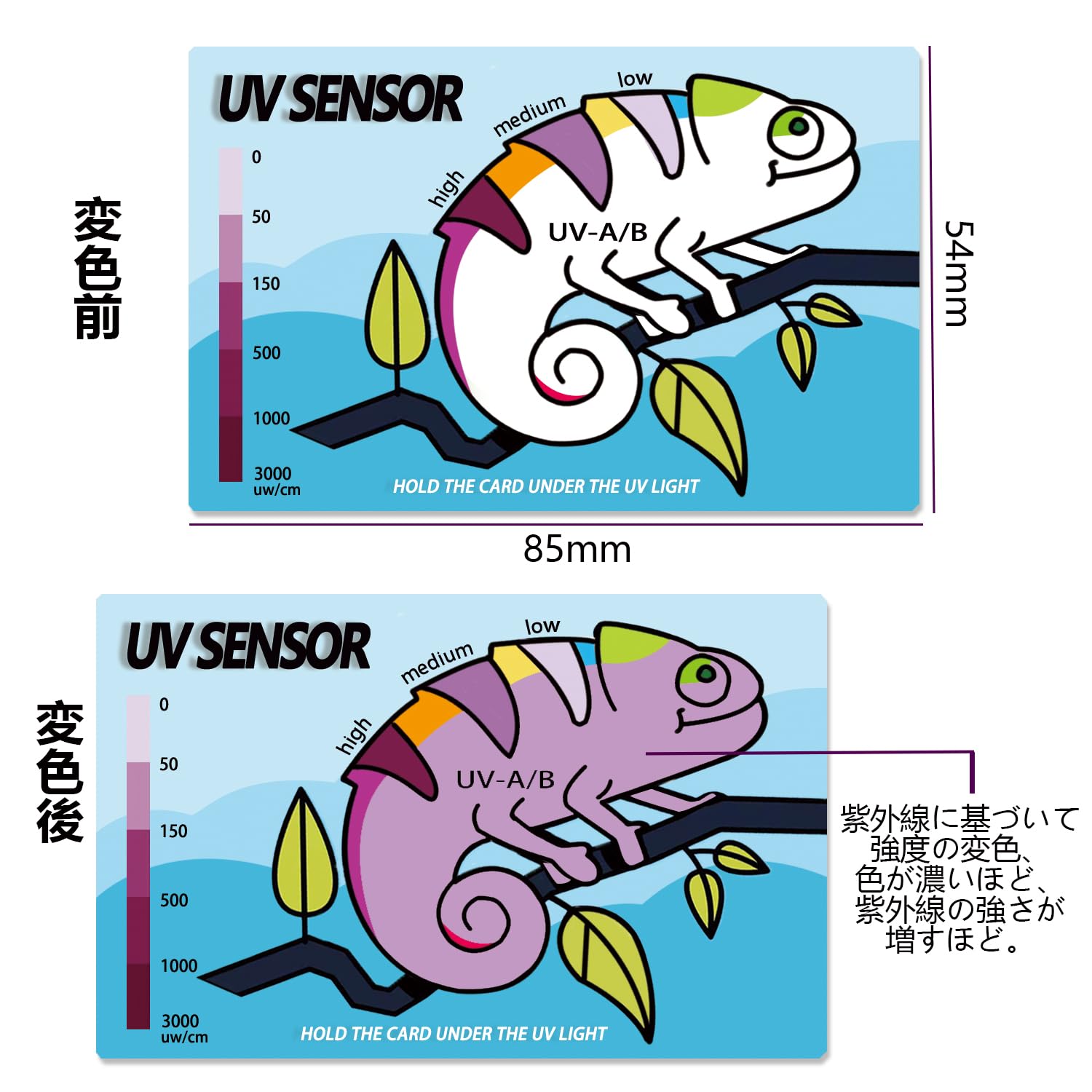 廃盤品 入手困難 ソラーレ UV70 本体 点灯確認済み 爬虫類 紫外線 スドー ソラーレUV70（メタハラ）を使ってみた