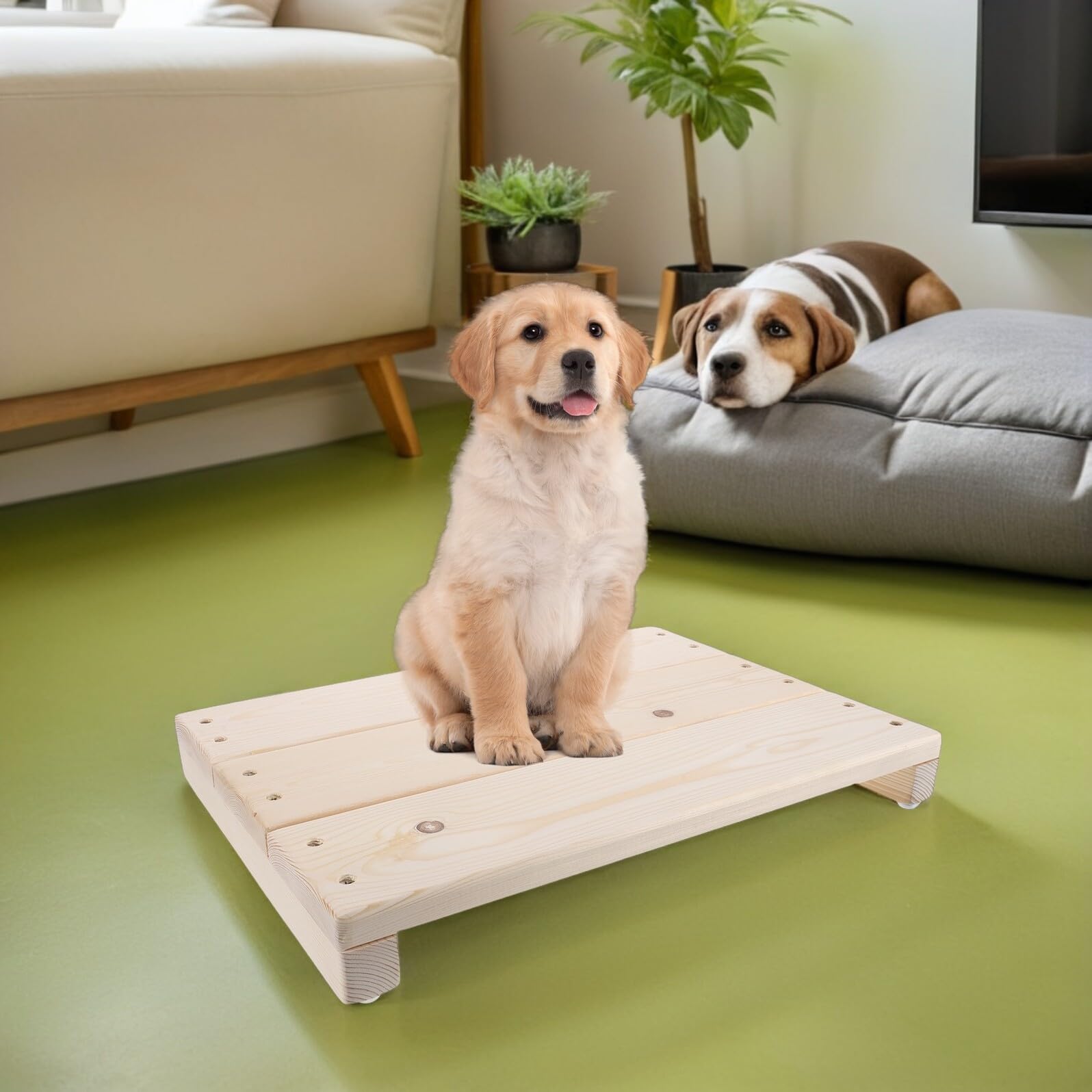 GANAZONO Tablero de Entrenamiento para Perros con Plataforma Antideslizante de Madera, Tamaño Pequeño, Equipo de Agilidad para Cachorros, Accesorio Seguro para Adiestramiento en