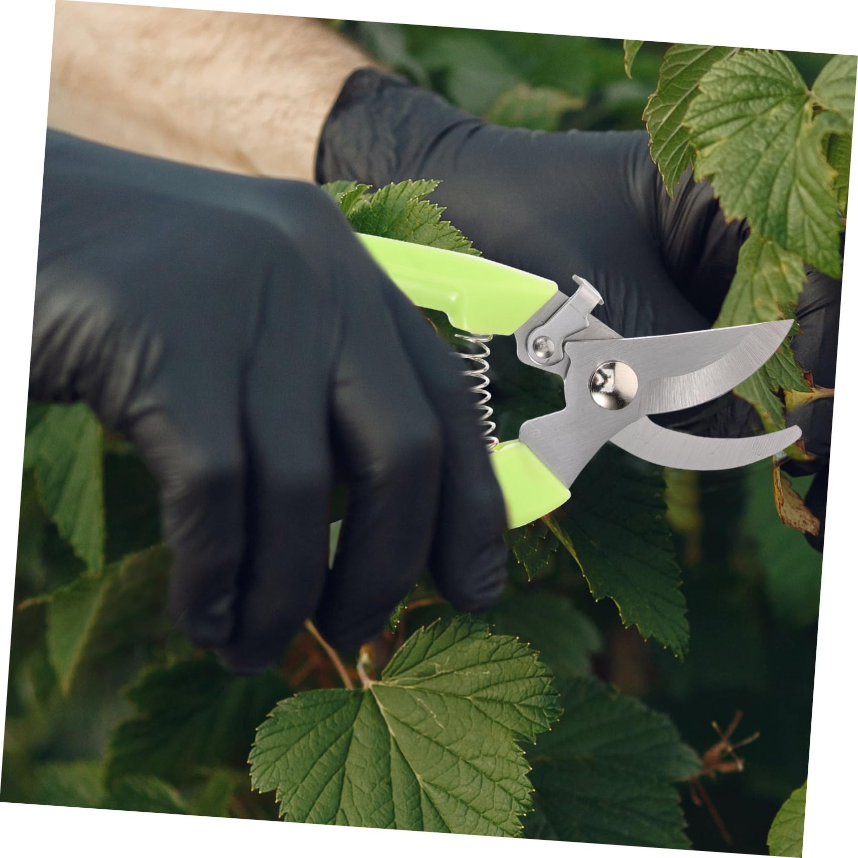 UPKOCH 4 Sätze Garten Astschneider Pflanzenschneider Für Gemüse Ergonomische Und Praktische Gartenschere Für Präzises Und Trimmen Sträuchern 2 Stück * 4