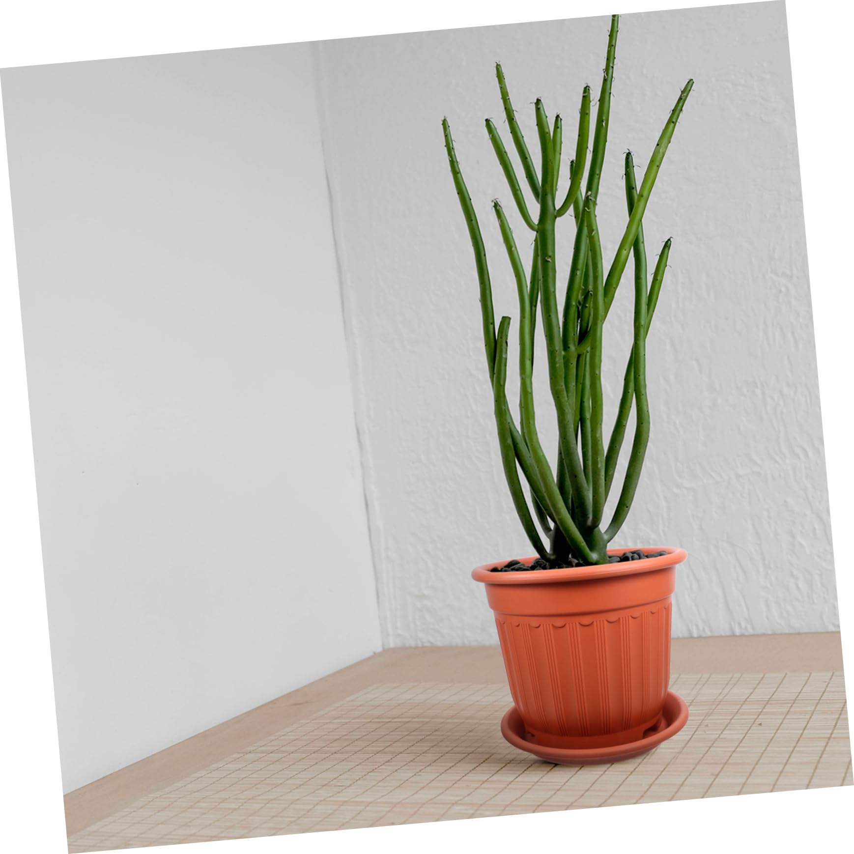 UKCOCO Pot De Fleurs Plastique avec Soucoupe Pot De Pépinière pour Plantes Grasses pour Jardin Intérieur