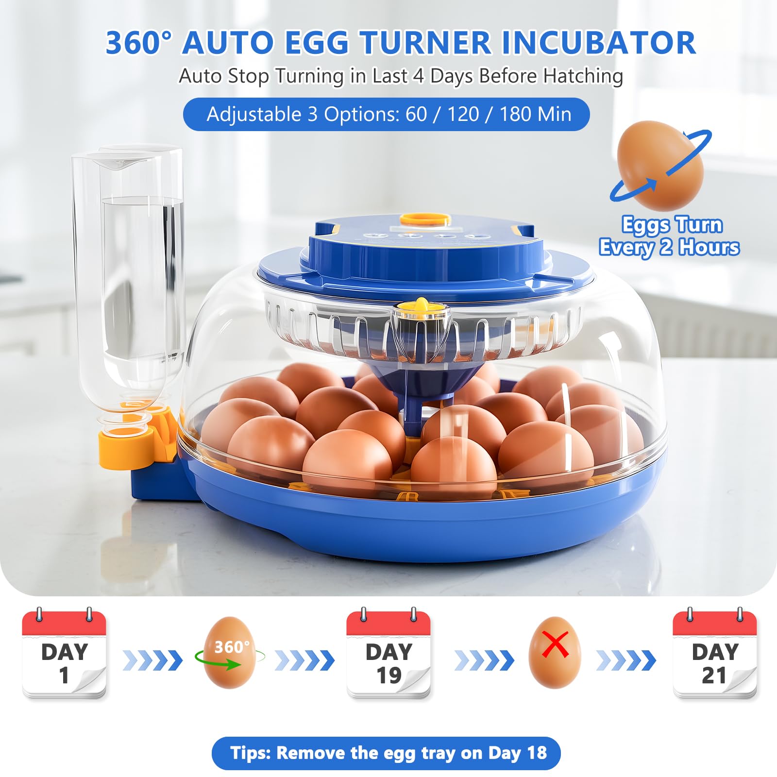Incubatrice per uova da cova - Capacità 18 uova, incubatrice per uova con rotazione automatica delle uova e controllo della temperatura, incubatrice per pollo, anatra, oca, quaglia, vista completa a