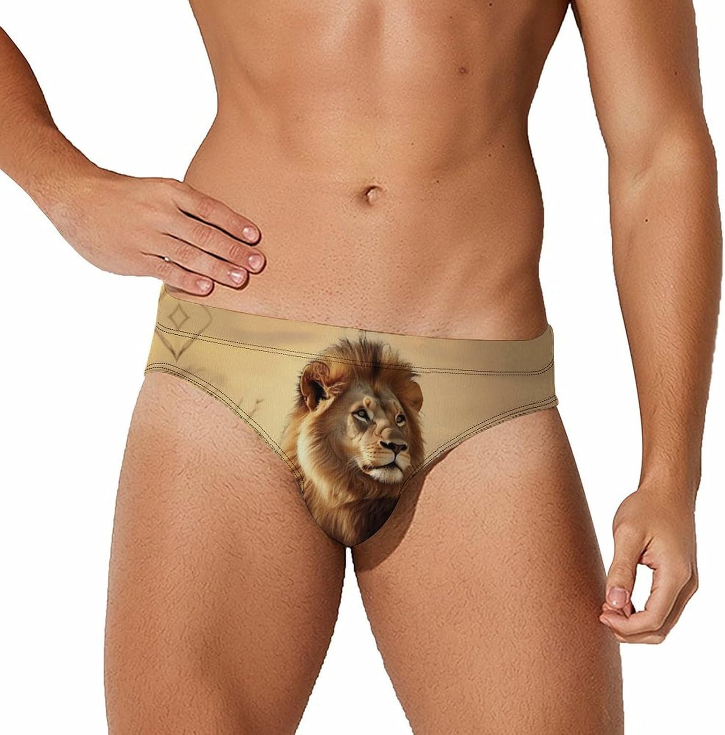 Animal Lion Men's Swimsuit Brief Sexy Bikini Briefs Retro Printed Swimwear Quick Dry Swimming Trunks 3X-Large