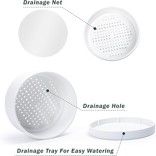 Miniatura 5 de D'vine Dev Maceta de plástico poco profunda de 10 pulgadas, maceta redonda grande para suculentas con orificio de drenaje y salsa, maceta decorativa