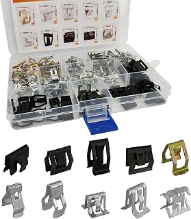 Tecledsn 100Pcs 10 Sizes Metal U-Clip Trim Panel Spring Clips Kit 4A0-867-276A Replacement for Most Cars