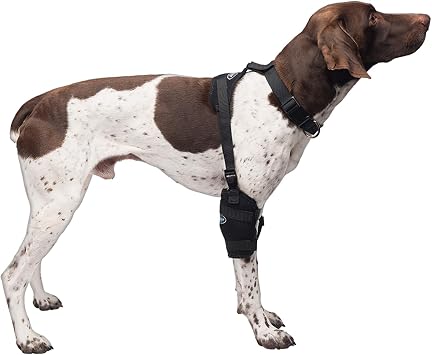Caldera Pet Therapy Universal Wrap Carpal/Elbow with Gel, Medium, Black PET205