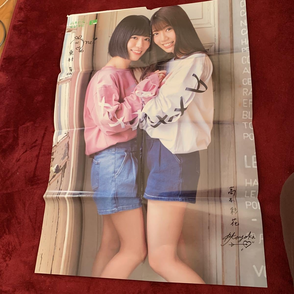 Amazon.co.jp: 生田絵梨花&生駒里奈&星野みなみ 両面クリアファイル+
