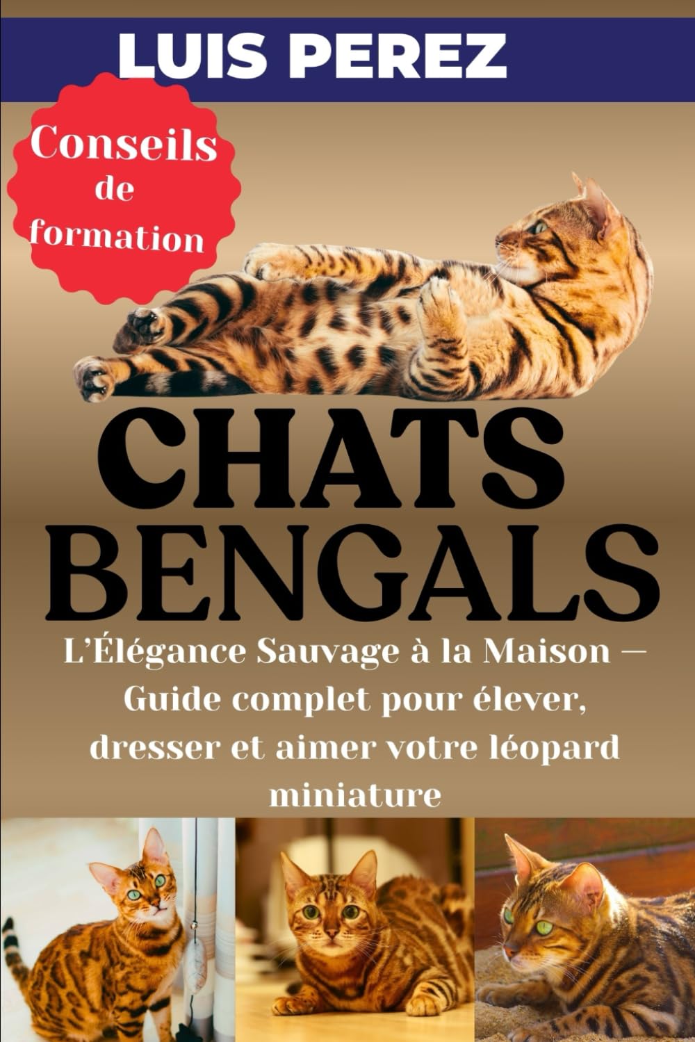 Guide Complet sur les Chats Bengals : Élever et Aimer Votre Léopard Miniature